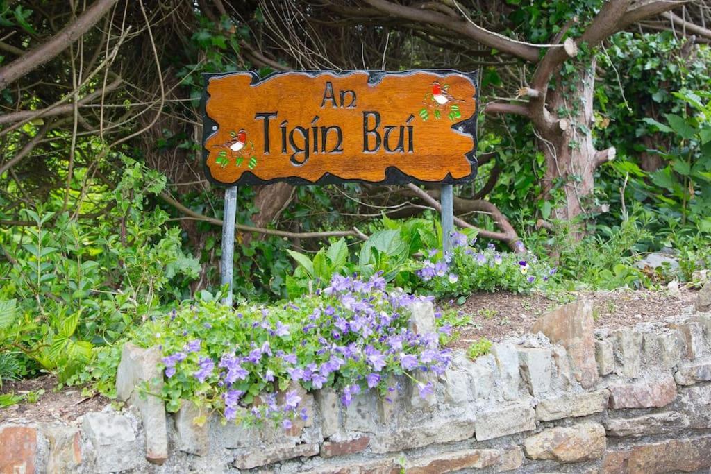Вілла An Tigin Bui Glanbannoo Upper Екстер'єр фото